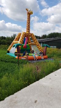 H&uuml;pfburgverleih Ostfriesland | H&uuml;pfburg, XXL, Giraffenh&uuml;pfburg, 3D, Kinder, Feld, Garten | Niedersachsen &amp; Bremen